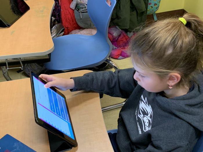A student learns with the Lomdei Platform